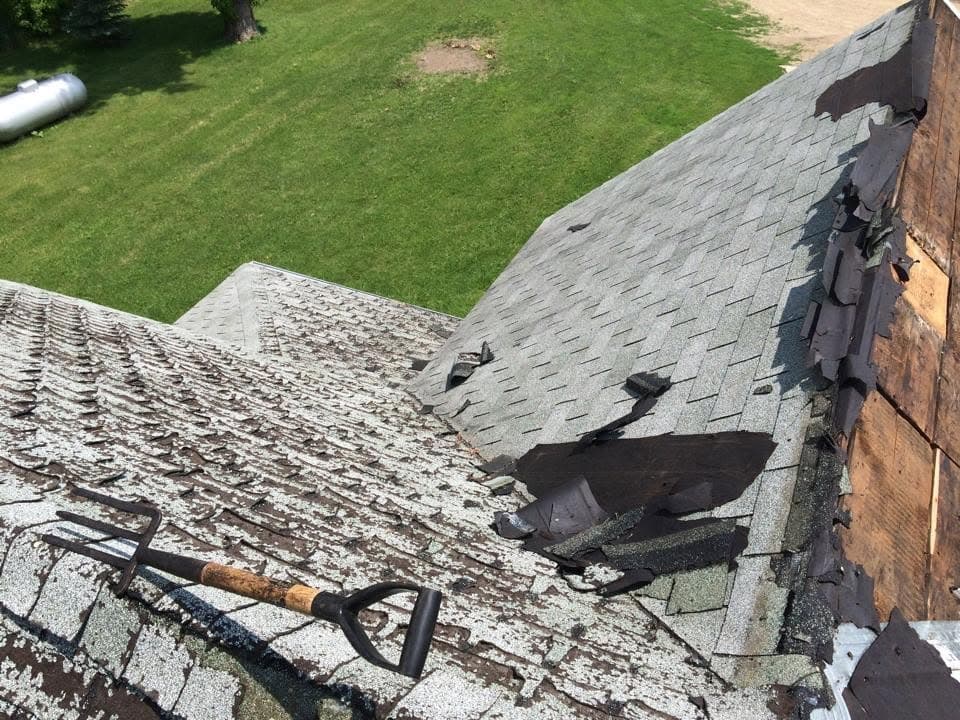 Old shingles coming off under a tear-off shovel